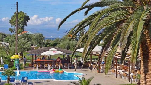 a palm tree in front of a swimming pool at Egrypos Hotel in Petrití