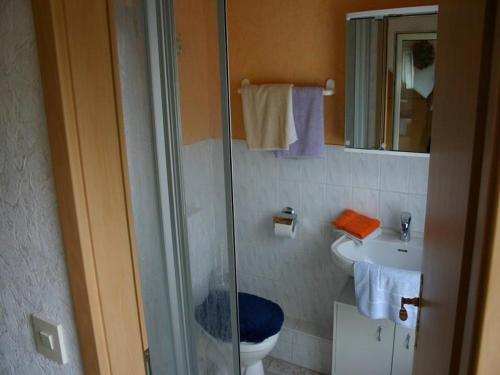 een badkamer met een douche, een toilet en een wastafel bij Haus-Kummeleck-Wohnung-1 in Bad Lauterberg