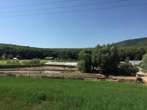 Φυσικό τοπίο κοντά σε αυτό το κατάλυμα σε φάρμα