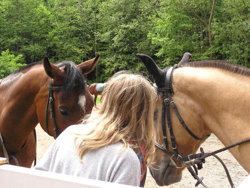 a woman standing next to two brown horses at Chata FORESTINA in Vyšné Ružbachy