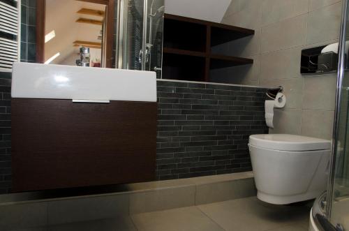 a bathroom with a toilet and a glass shower at Villa Hof in Luboń