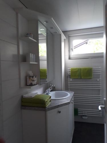 a bathroom with a sink and a mirror at Haus Sonnenheim in Frastanz