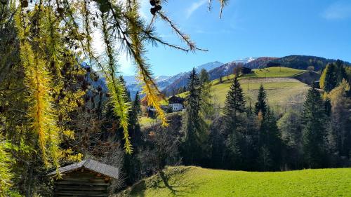 a small cabin in the middle of a green field at Gasthof Wacht in Untertilliach