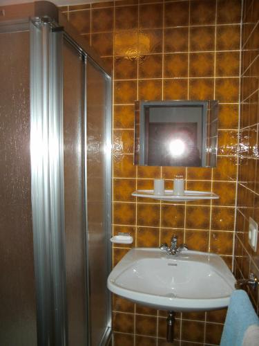 a bathroom with a sink and a shower and a mirror at Apartments Jäger in Trins