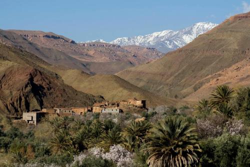 a village in a valley with mountains and palm trees at Maison d'Hôtes Irocha in Tisselday