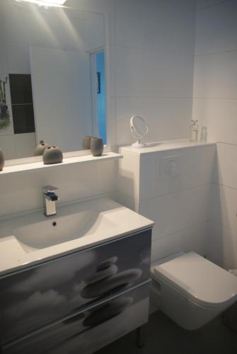 uma casa de banho com um lavatório, um WC e um espelho. em Horizon Karukera em Sainte-Rose