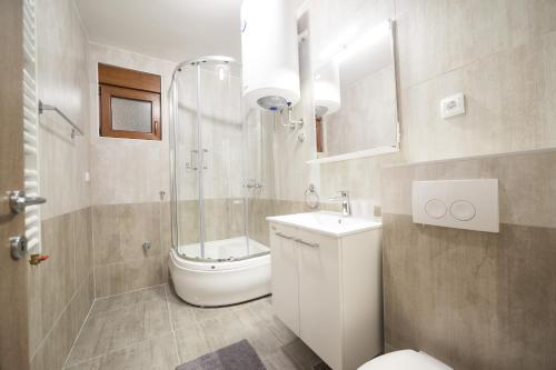 een badkamer met een toilet, een douche en een wastafel bij Apartman Gavrilov 2 in Zlatibor