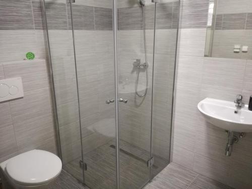 a bathroom with a shower and a toilet and a sink at Restaurace - penzion Bavorský dvůr in Sezemice