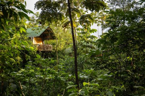 a tree house in the middle of the forest at La Tigra Rainforest Lodge in Fortuna