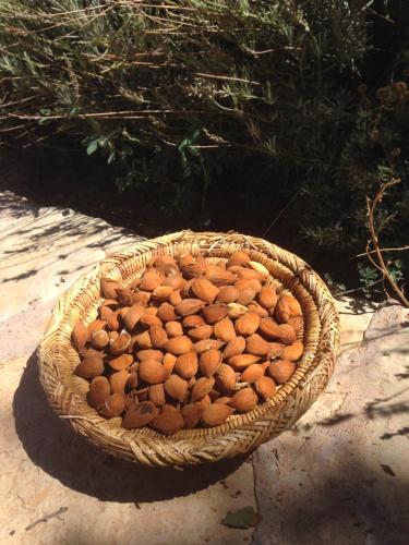 a basket full of nuts sitting on the ground at Maison d'Hôtes Irocha in Tisselday