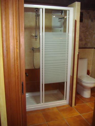 a bathroom with a shower and a toilet with a glass door at Casa El Carrelu in Po