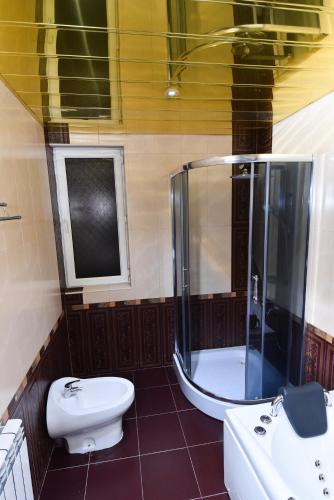 a bathroom with a shower and a toilet and a sink at Gayane Hotel in Alaverdi