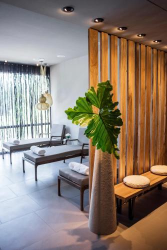 a room with couches and a potted plant at KOS Pilar Hotel in Pilar