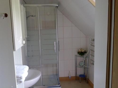 a bathroom with a shower and a sink at Haus Fratnik in Obertraun