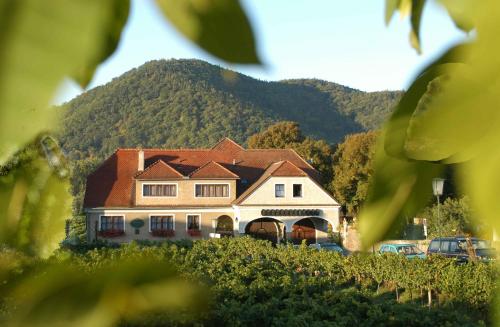 a large house in front of a mountain at Weingut-Pension Stockingerhof in Dürnstein