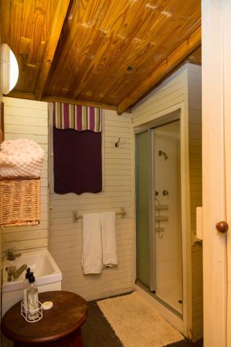 a bathroom with a shower and a toilet and a sink at Cottage Pie in Clarens