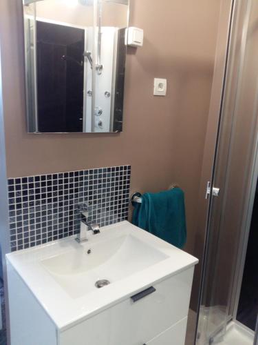 a bathroom with a sink and a mirror and a shower at Private Studio Brussels Airport in Brussels