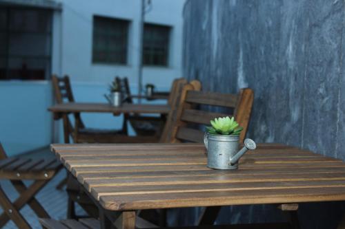 a potted plant sitting on top of a wooden table at Hotel Oasis in Santa Marta de Penaguião