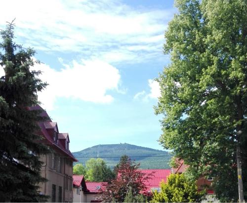 Příroda nedaleko apartmánu