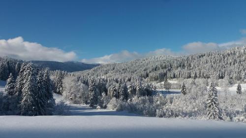a snow covered mountain with trees and a snow covered lake at Gästehaus Behabühl in Feldberg