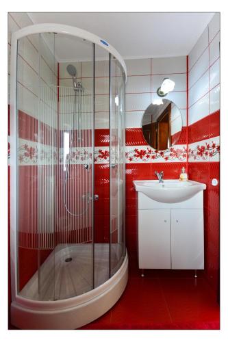 a bathroom with a glass shower and a sink at Pensiunea 7 Brazi in Poiana Mărului