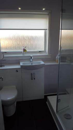 a bathroom with a sink and a toilet and a window at Flemming Place in East Kilbride