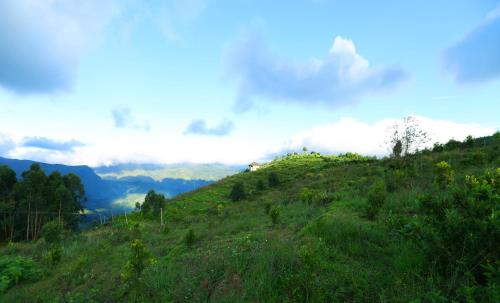 a green hill with trees and clouds in the background at Vrindhavan Mist City Resorts in Kanthalloor