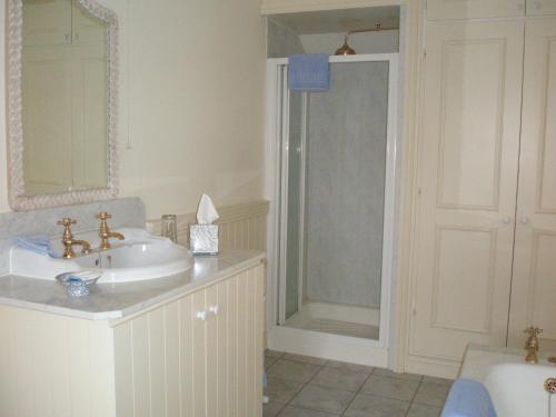 uma casa de banho com um lavatório e um chuveiro em Courtyard Cottage em Carlow