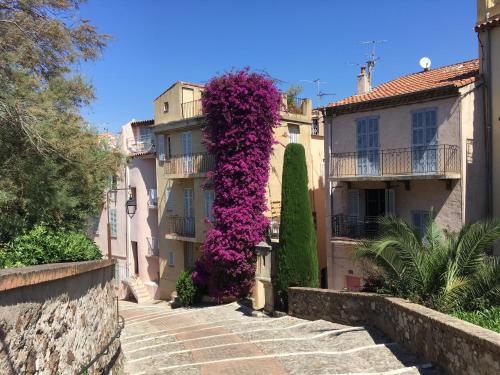 Appartement Le Suquet proche Croisette