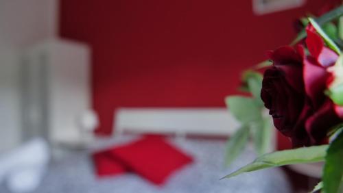 a bouquet of roses in a vase in a room at Nonna Francesca in Patti