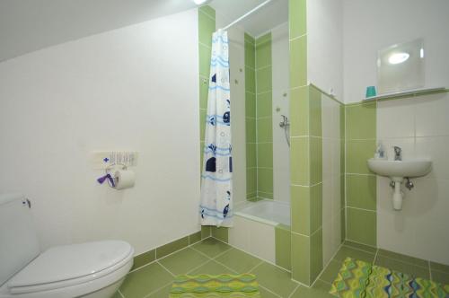 a bathroom with a toilet and a shower and a sink at Ubytovanie Sokolica in Červený Kláštor