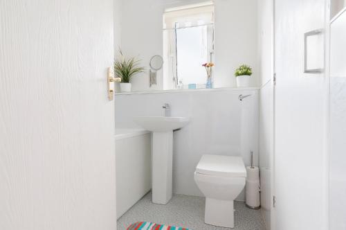 a white bathroom with a toilet and a sink at Polwarth Apartment in Edinburgh