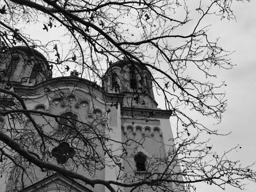 a tall building with domes and a tree at Architectural City Loft in Sofia
