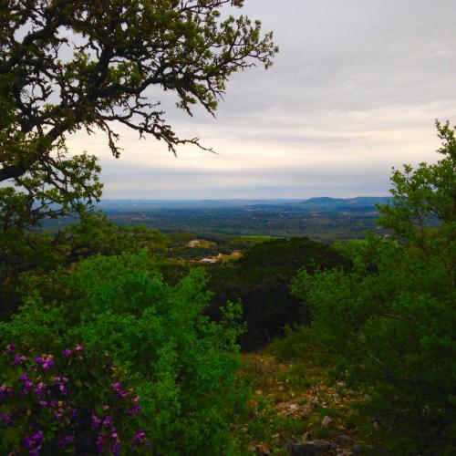 a view from the top of a hill with trees at Glory Hills Ranch in Pipe Creek