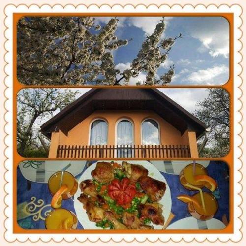 Jídlo v penzionu nebo okolí