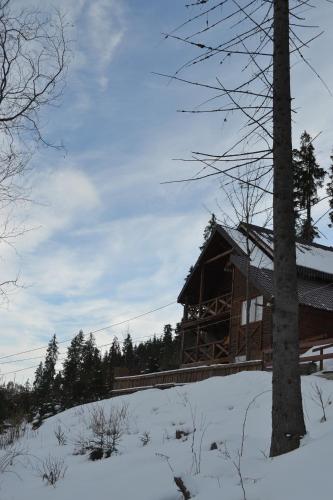 a log cabin in the snow with a tree at Chalet Shepit Karpat in Bukovel