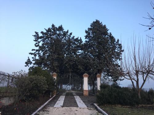 a gate to a house with two trees at Casa Vacanze SoleLuna in Montichiari