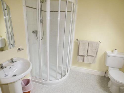 a bathroom with a shower and a toilet and a sink at Maison de Kilbride Finney Clonbur Mayo in Clonbur