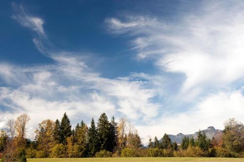 a green field with trees and a cloudy sky at Relais & Châteaux Gut Steinbach Hotel Chalets SPA in Reit im Winkl