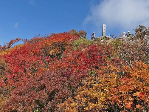 a group of people standing on top of a hill with trees at Oyado Matsubaya in Minakami