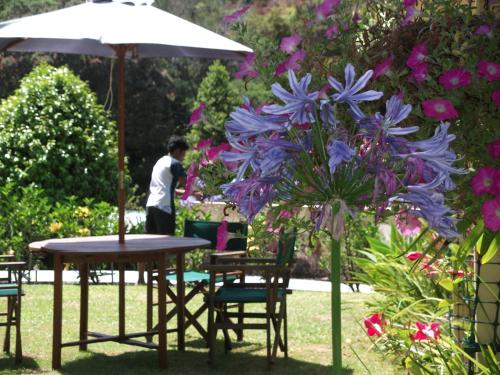 a table and chairs and an umbrella and purple flowers at Tatahi Cove Back Packer in Hahei