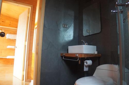 a bathroom with a sink and a toilet at Cabañas Alen Mapu in Castro