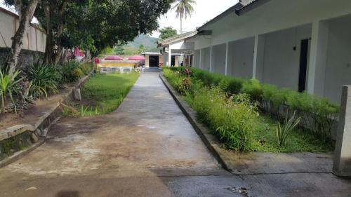 セロング・ベラナクにあるJo Homestayの植物の並ぶ空き歩道