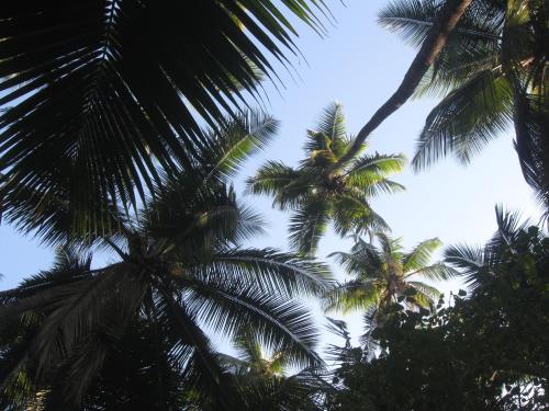 Gallery image of Mhatre's Guest House in Alibaug