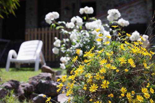 a garden with yellow and white flowers and a white chair at Agriturismo e Glamping Serraiola Alta in Frassine