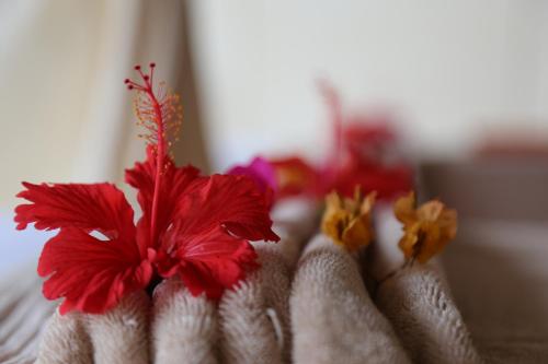 a group of towels with flowers in them at Kigwedeni Villas in Nungwi