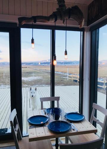 a white dog standing in front of a table at Akurgerði Guesthouse 4 - Country Life Style in Ölfus