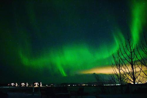 an aurora is dancing in the sky at night at Akurgerði Guesthouse 4 - Country Life Style in Ölfus