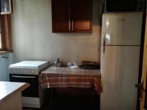 Η κουζίνα ή μικρή κουζίνα στο Apartment Georgy