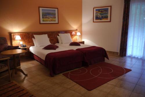 Gallery image of Hotel Sud Alsace in Ranspach-le-Bas